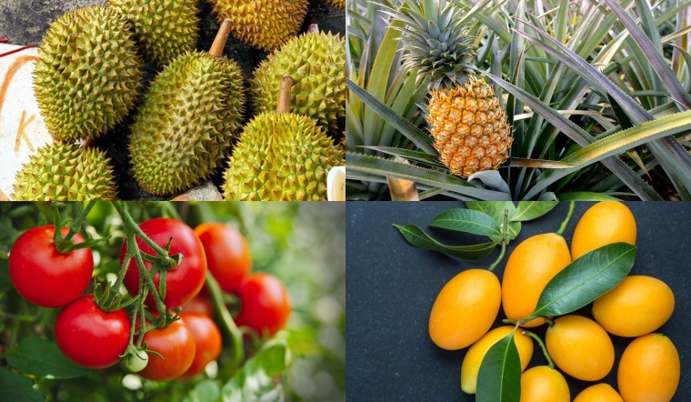 10 loại hoa quả không nên thắp hương